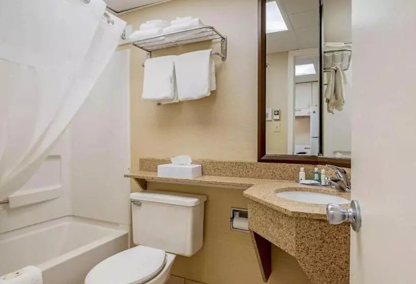 スイート, Quality Inn & Suites Ocean City Fenwick
