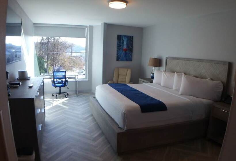 シングルデラックスルーム, Athens Central