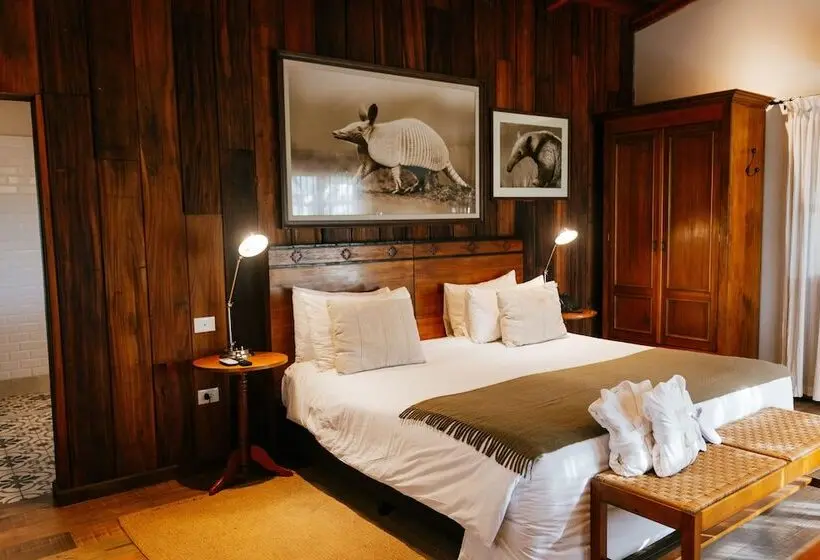 デラックスルーム, El Tránsito Hotel Boutique