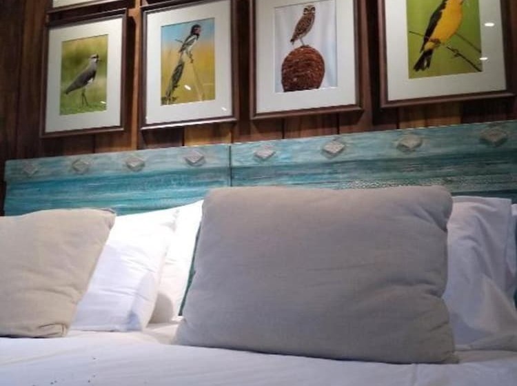 デラックスルーム, El Tránsito Hotel Boutique