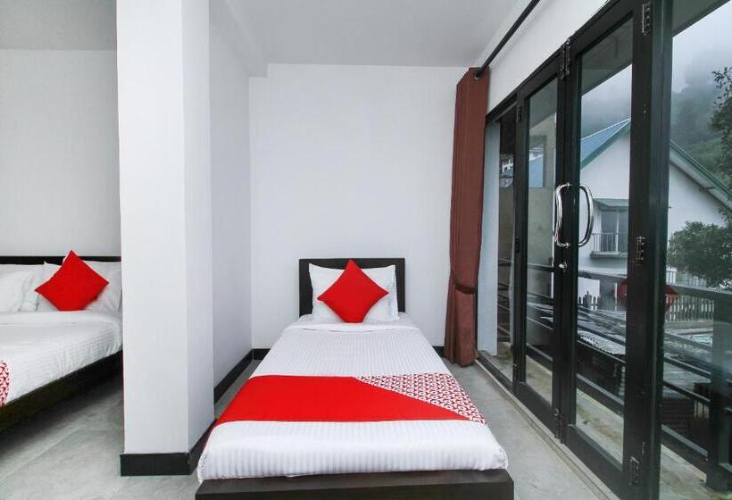 חדר דלוקס לשלושה, Delphin