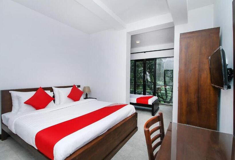 חדר דלוקס לשלושה, Delphin