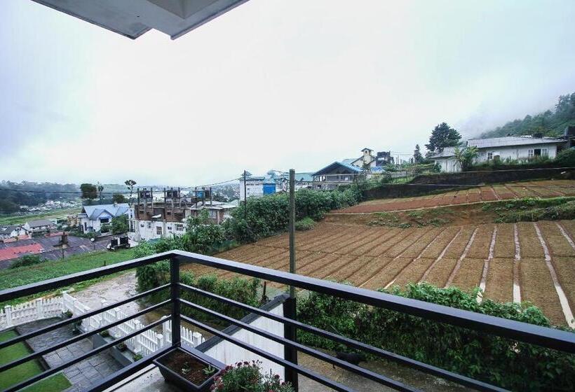 חדר דלוקס, Delphin