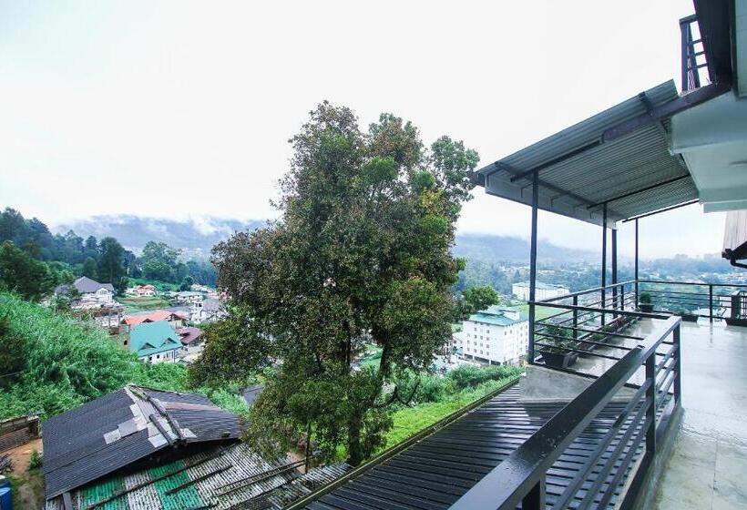 חדר דלוקס, Delphin