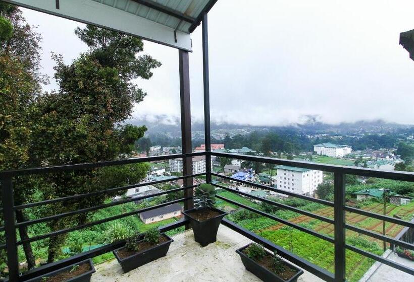 חדר משפחתי דלוקס, Delphin