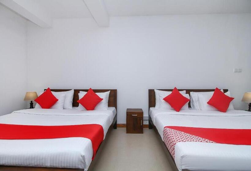 חדר משפחתי דלוקס, Delphin