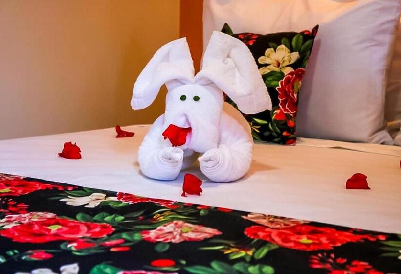 套房, Pousada Málaga