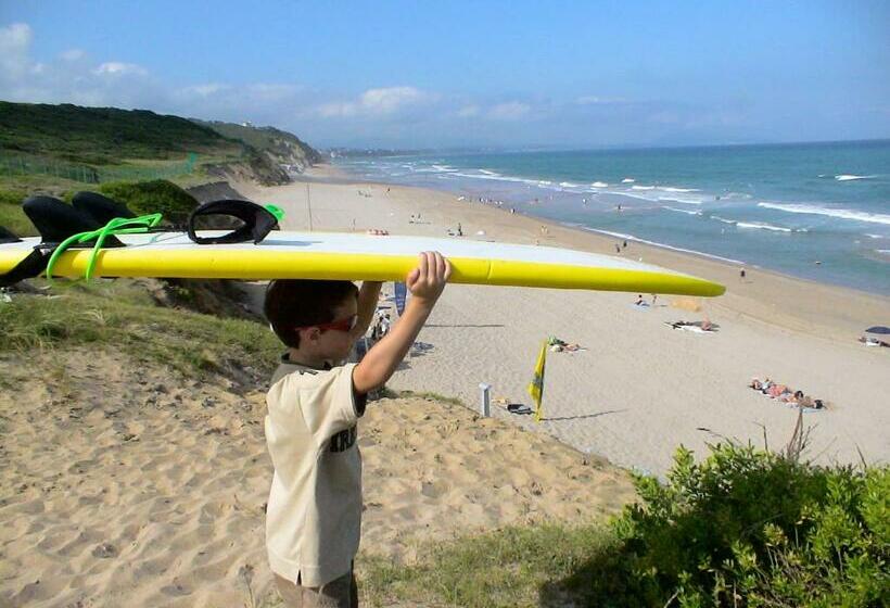 غرفة قياسية مطلّة علي الحديقة, Irigoian