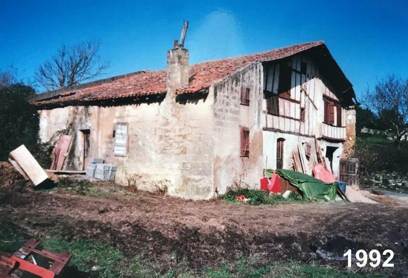 غرفة قياسية مطلّة علي الحديقة, Irigoian