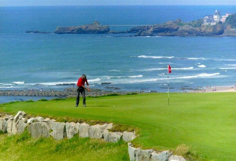 غرفة قياسية مطلّة علي الحديقة, Irigoian