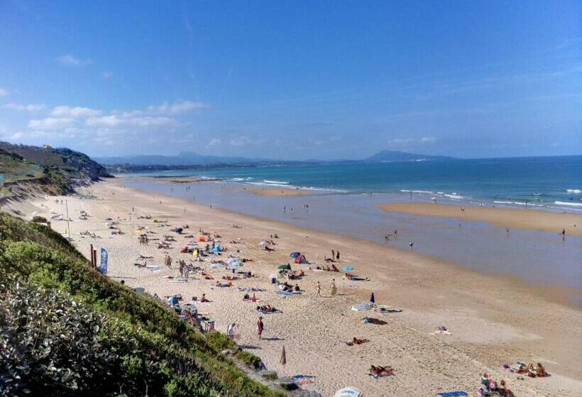 غرفة قياسية مطلّة علي الحديقة, Irigoian