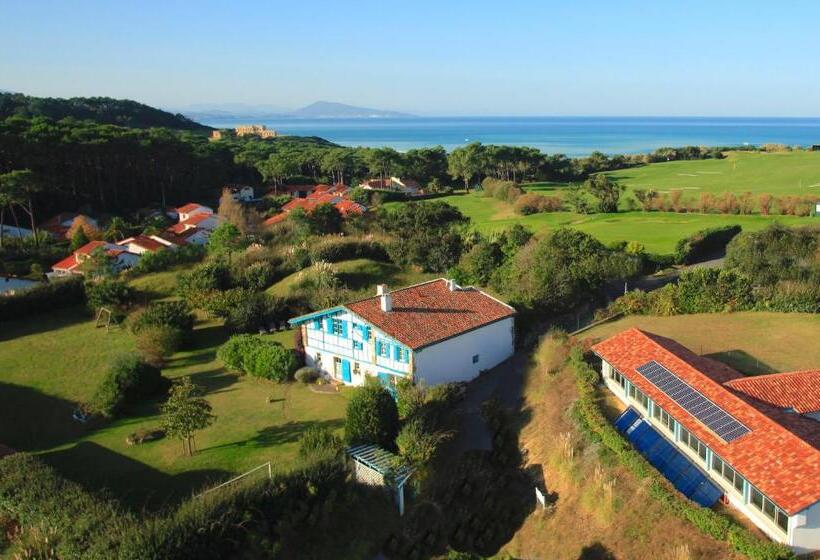 غرفة قياسية مطلّة علي الحديقة, Irigoian