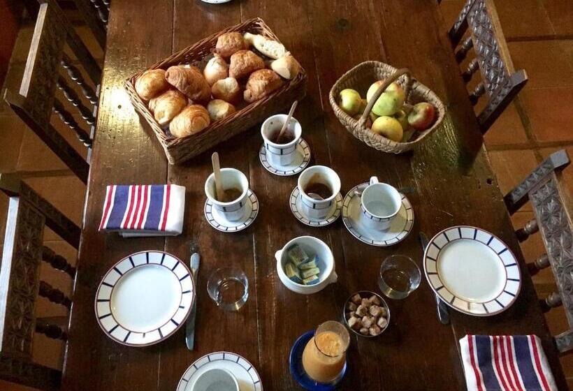 غرفة قياسية مطلّة علي الحديقة, Irigoian