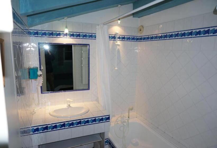 غرفة قياسية مطلّة علي الحديقة, Irigoian