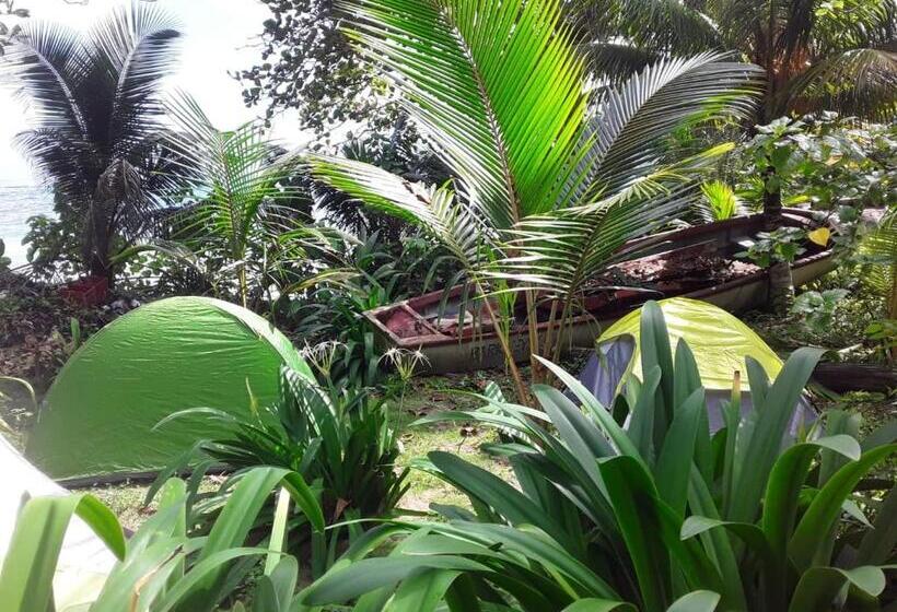 Standard Tent, Port Antonio Brian S Beach House