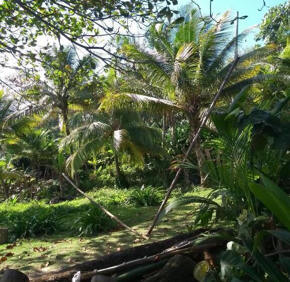 Standard Tent, Port Antonio Brian S Beach House