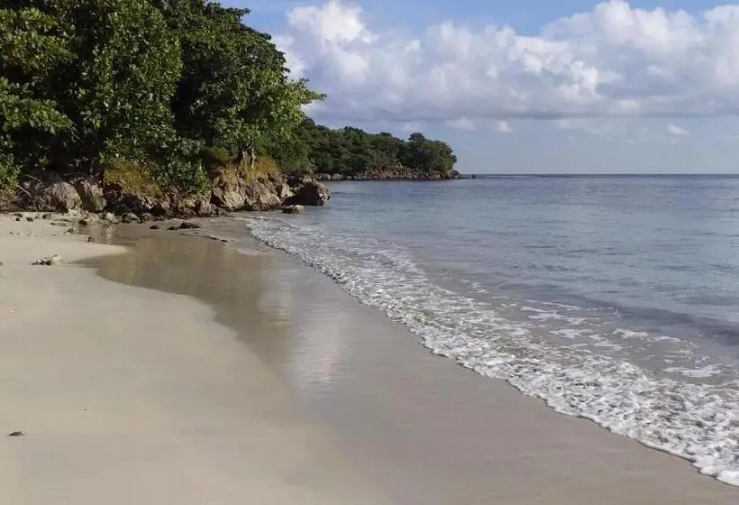اتاق لوکس, Port Antonio Brian S Beach House