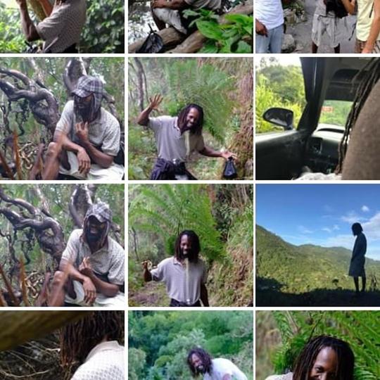 Standard Tent, Port Antonio Brian S Beach House