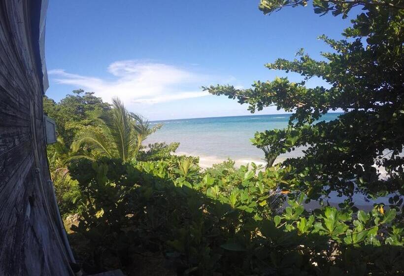 چادر با خدمات رفاهی استاندارد, Port Antonio Brian S Beach House
