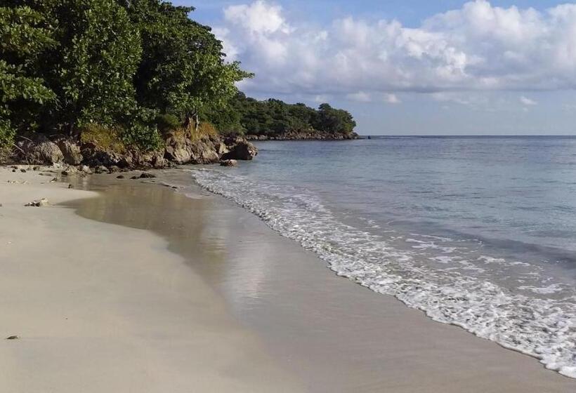 Standard Tent, Port Antonio Brian S Beach House