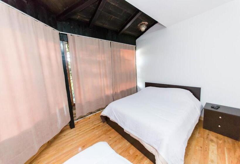 Quarto Triplo Economy, Ajka