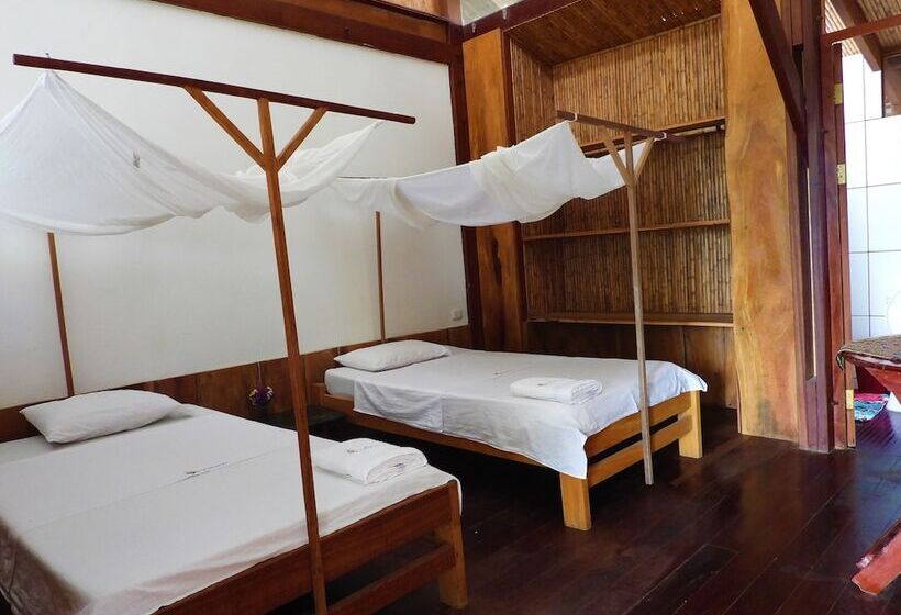 اتاق استاندارد, La Fauna