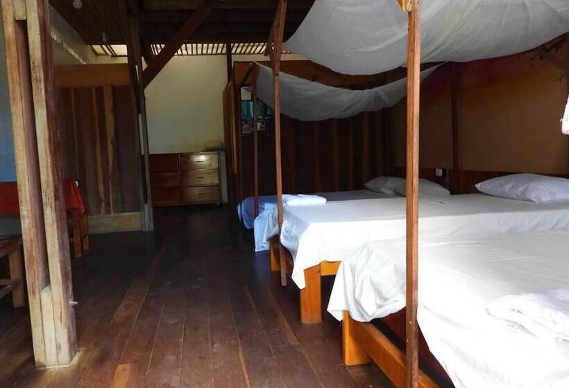 اتاق استاندارد سه نفره, La Fauna