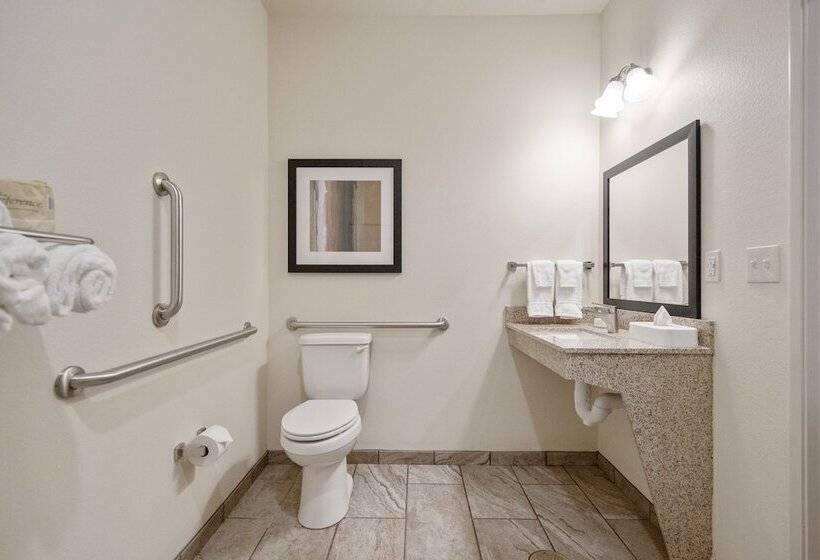 Люкс, Cobblestone Hotel & Suites   Austin