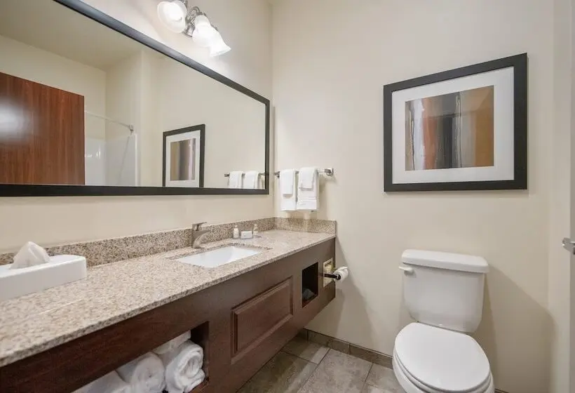 スタンダードスタジオ, Cobblestone Hotel & Suites   Austin