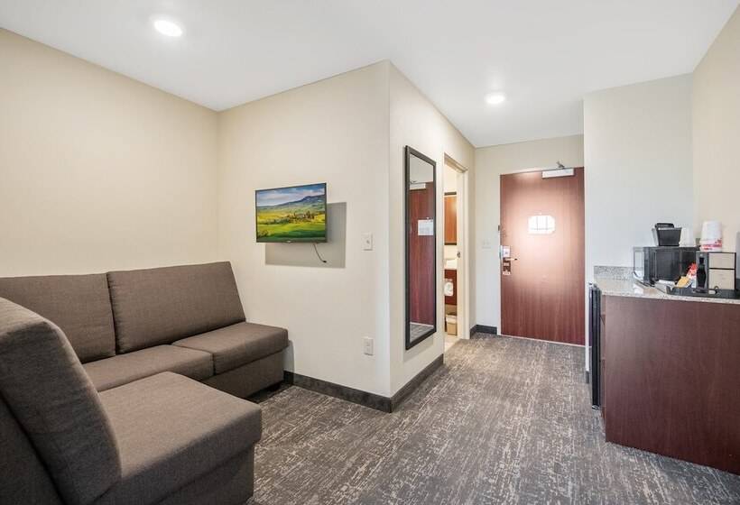 Студия Стандарт, Cobblestone Hotel & Suites   Austin