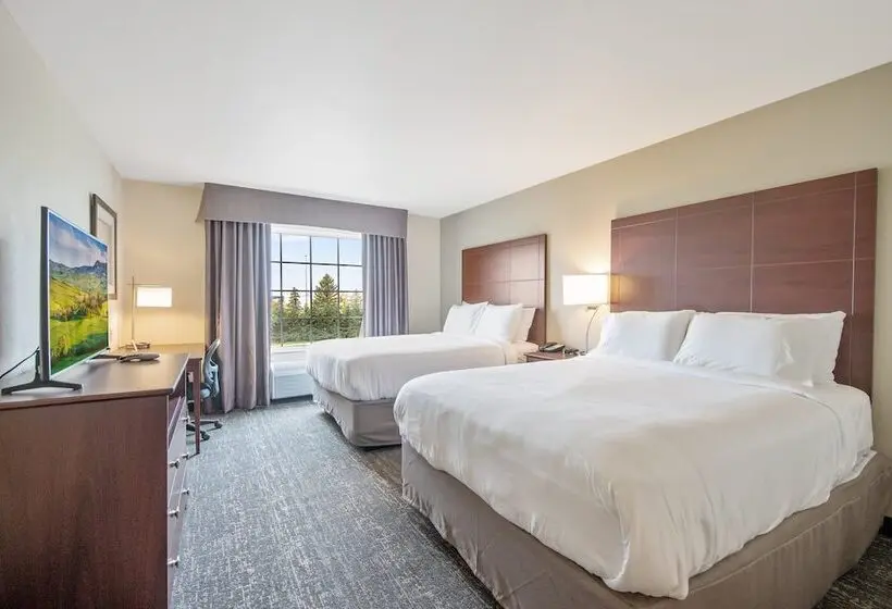 スタンダードスタジオ, Cobblestone Hotel & Suites   Austin