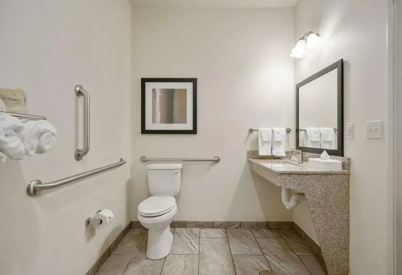 身障者適用スタンダードルーム, Cobblestone Hotel & Suites   Austin
