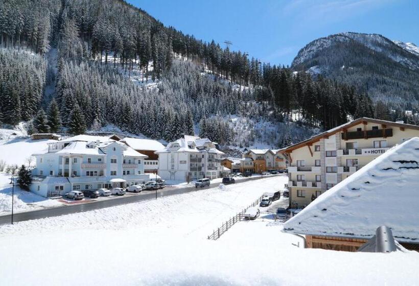 이코노미 룸, Vogt