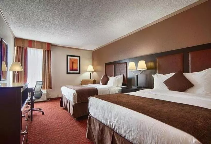 スタンダードルーム, Best Western Plus Lubbock Windsor Inn