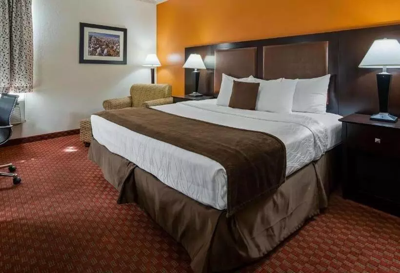 身障者適用キングサイズベッドルーム, Best Western Plus Lubbock Windsor Inn