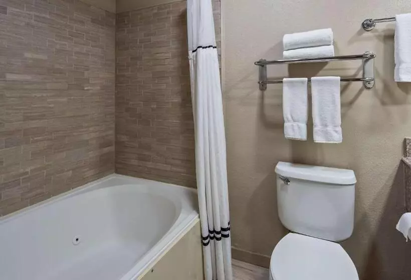 身障者適用キングサイズベッドルーム, Best Western Plus Lubbock Windsor Inn