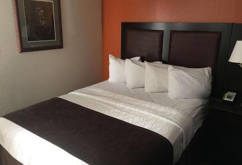 חדר סטנדרט עם מיטת קינג, Best Western Plus Lubbock Windsor Inn