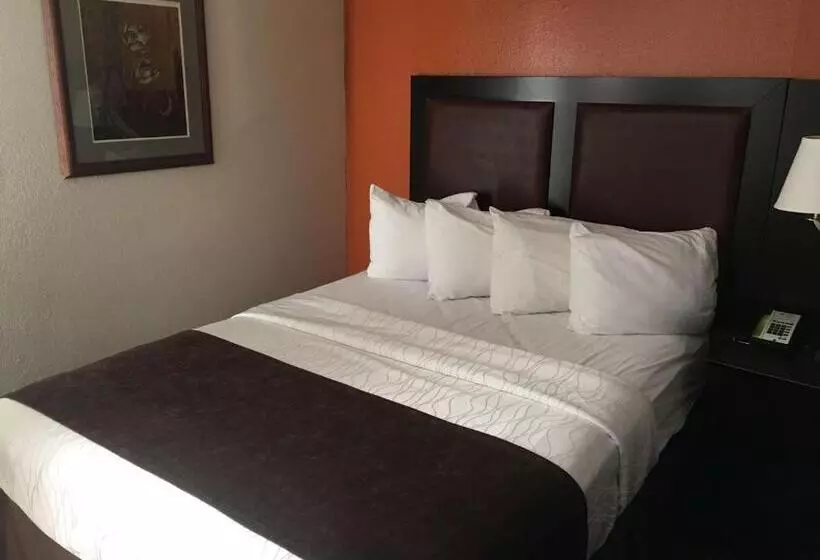 キングサイズベッドのスタンダードルーム, Best Western Plus Lubbock Windsor Inn