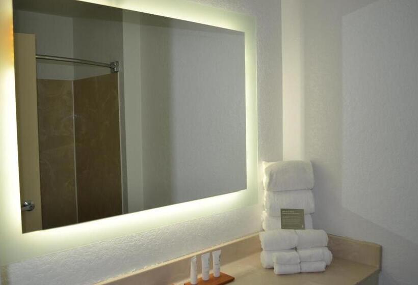 غرفة قياسية سرير كينج, Country Inn & Suites By Radisson, Fairview Heights, Il