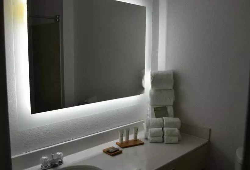 キングサイズベッドのデラックススイート, Country Inn & Suites By Radisson, Fairview Heights, Il