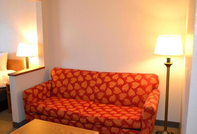 جناح ديلوكس سرير كينج, Country Inn & Suites By Radisson, Fairview Heights, Il