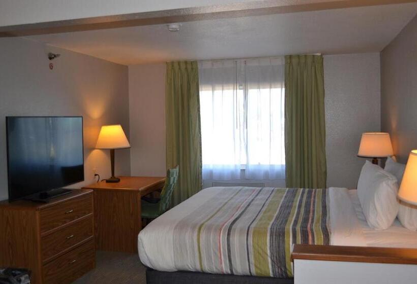 جناح ديلوكس سرير كينج, Country Inn & Suites By Radisson, Fairview Heights, Il