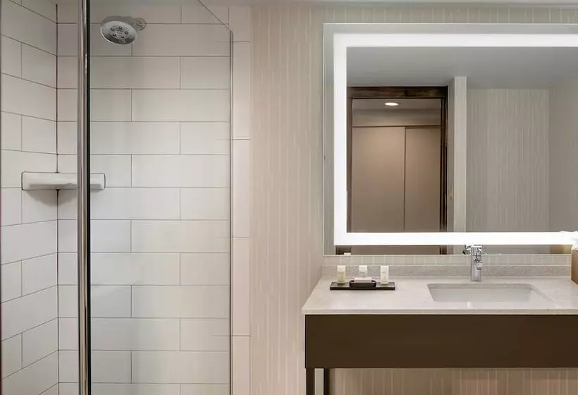 スイート, Embassy Suites By Hilton Dallas Love Field