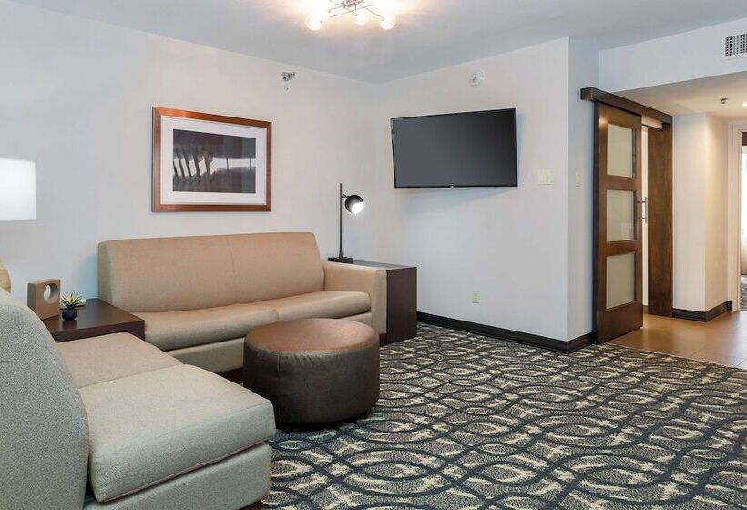 スイート, Embassy Suites By Hilton Dallas Love Field