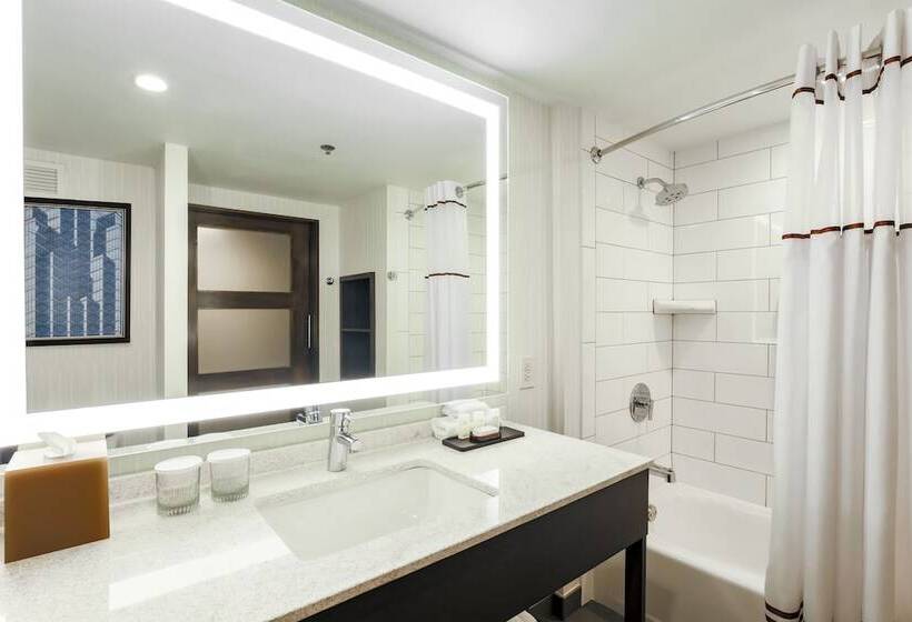 スイート, Embassy Suites By Hilton Dallas Love Field