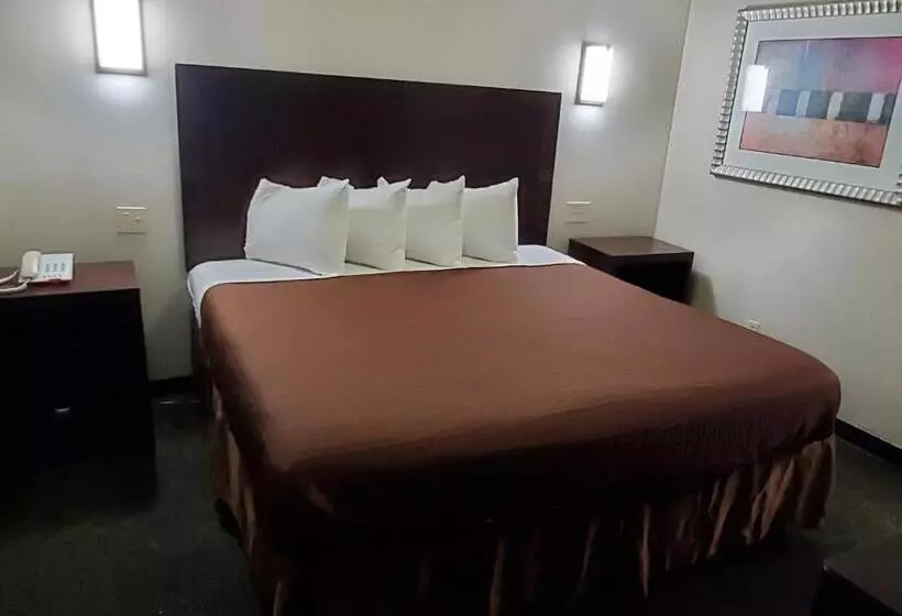 キングサイズベッドのスタンダードルーム, Executive Inn