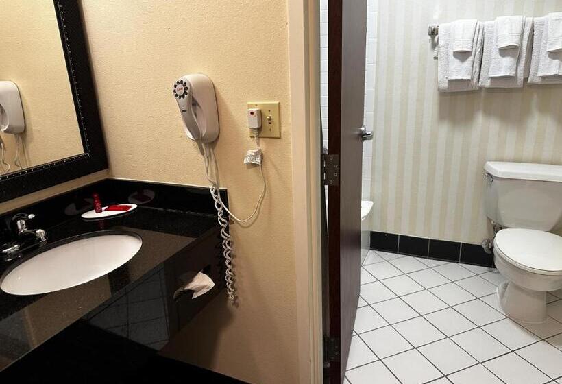 스탠다드 룸 더블 침대 2개, Best Western Plus Fenton