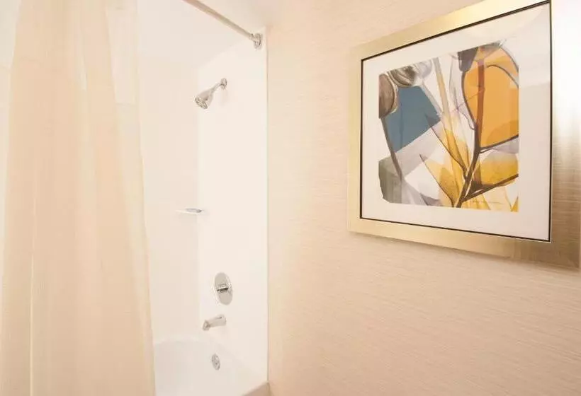 キングサイズベッドのスタンダードルーム, Fairfield Inn Charlotte Gastonia