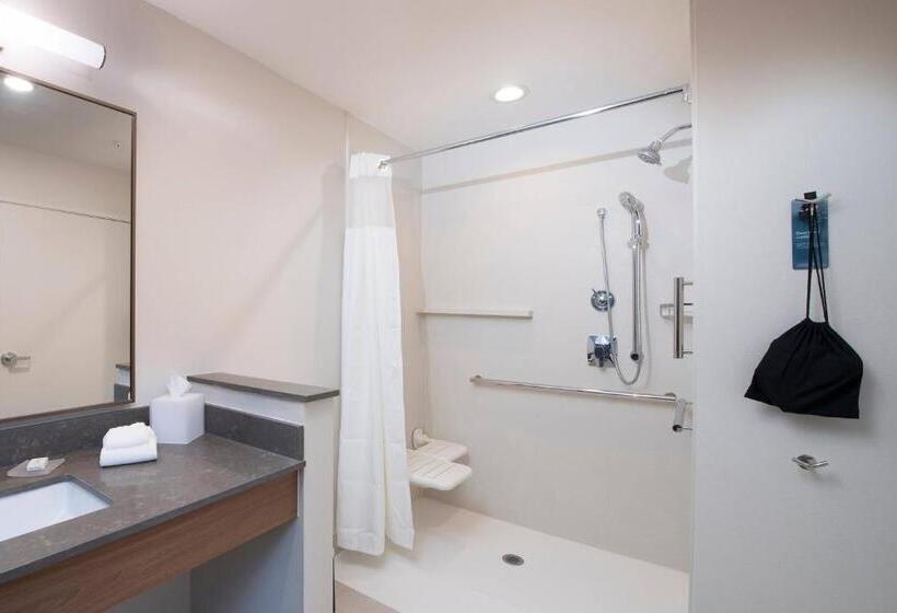 스탠다드 룸 킹사이즈 침대, Fairfield Inn Charlotte Gastonia