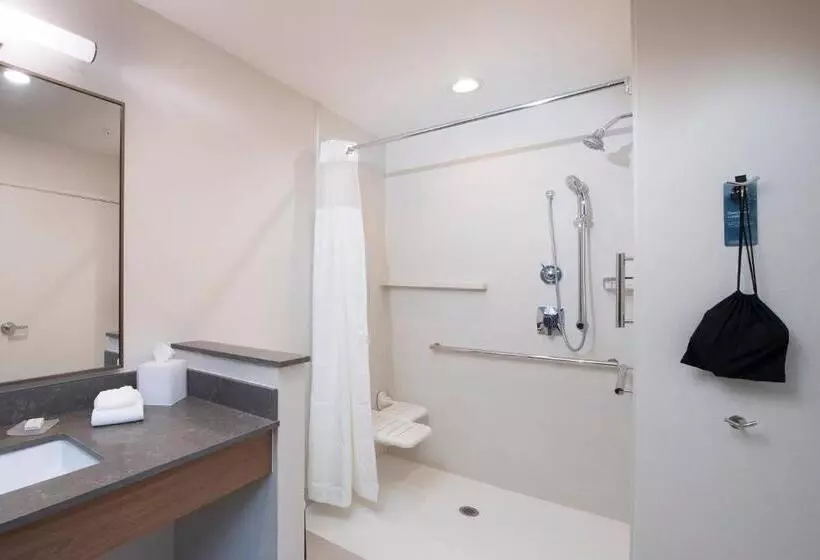 キングサイズベッドのスタンダードルーム, Fairfield Inn Charlotte Gastonia
